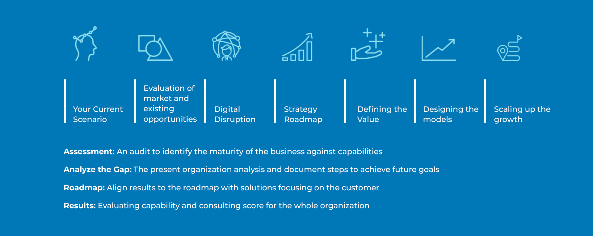 Operating Model